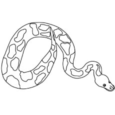 230x230 how to draw a boa constrictor coloring - Boa Constrictor Drawing