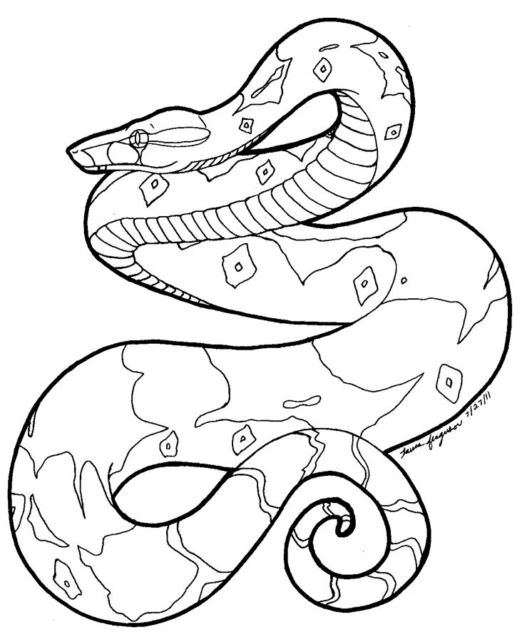 746x900 boa constrictor coloring - Boa Constrictor Drawing