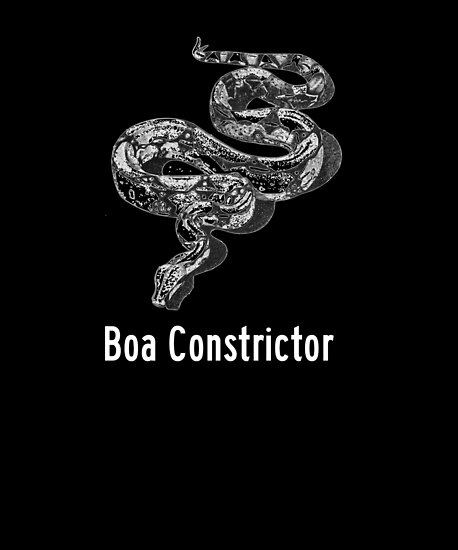 458x550 boa constrictor - Boa Constrictor Drawing