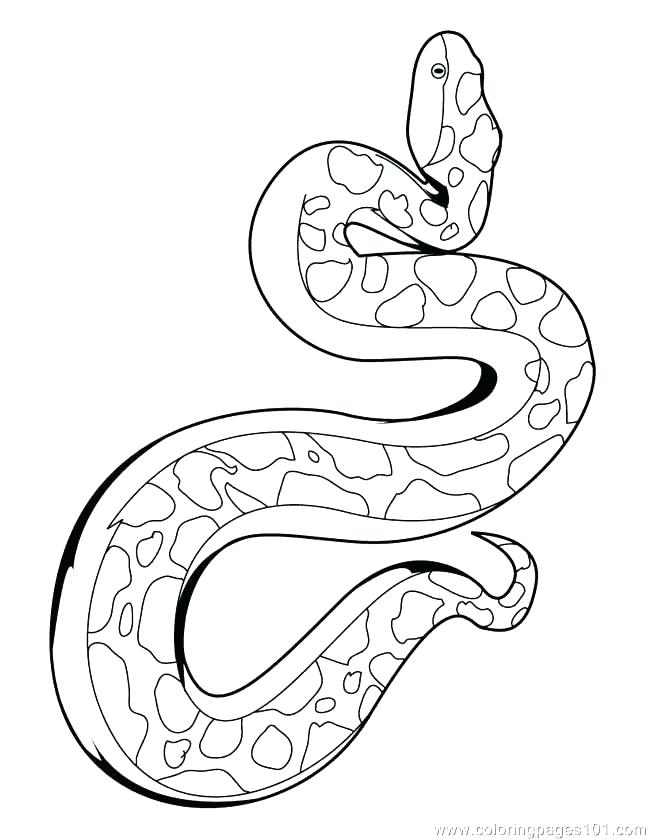yellow boa constrictor coloring pages