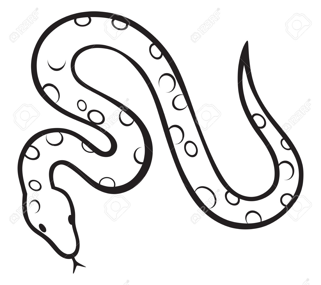 1300x1153 constrictor clipart - Boa Drawing