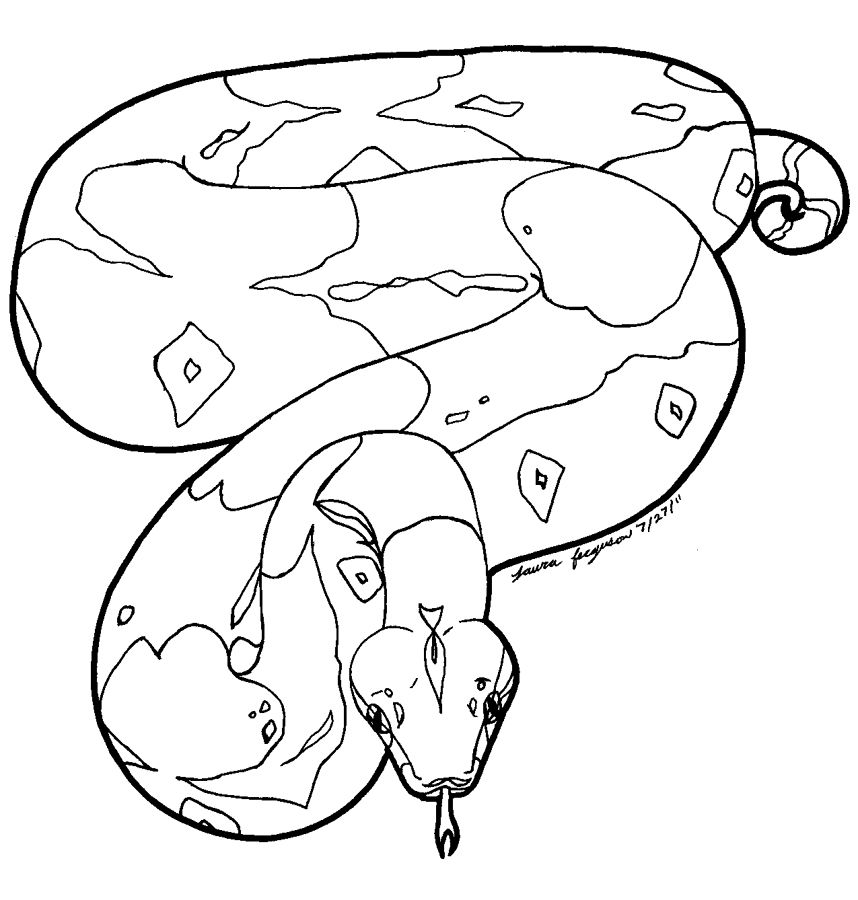 858x900 huge collection of 'boa constrictor clipart' download more than - Boa Drawing