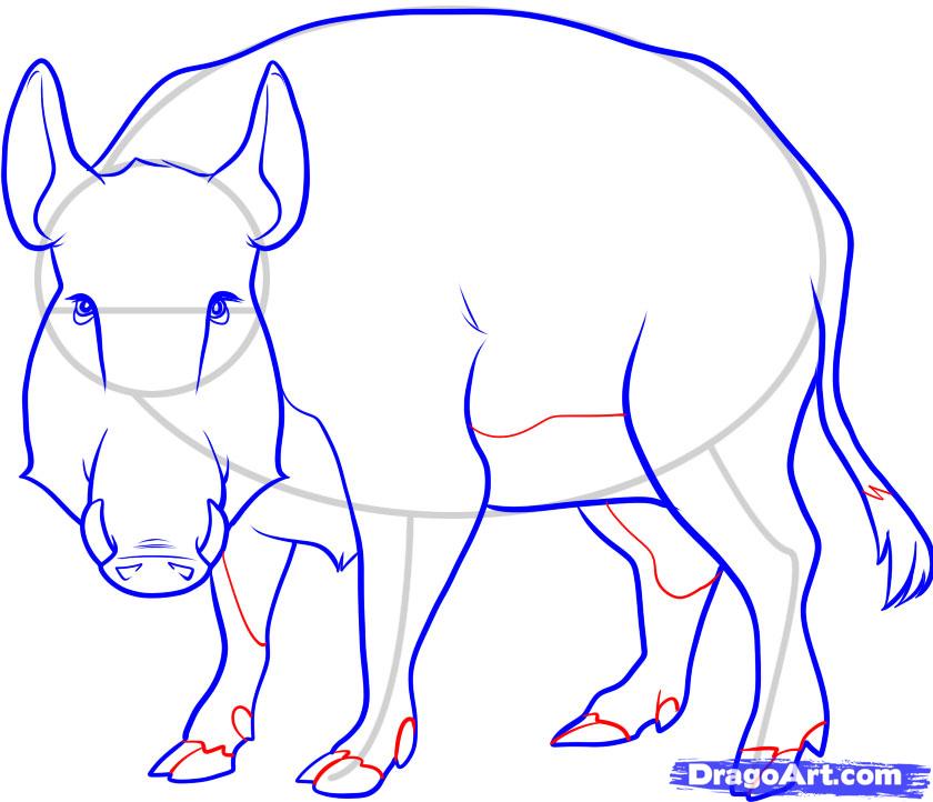 840x722 how to draw a boar, wild boar, step - Boar Drawing