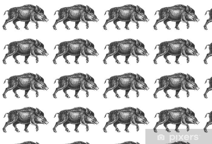 700x476 boar drawing professional vector wallpaper we live - Boar Drawing