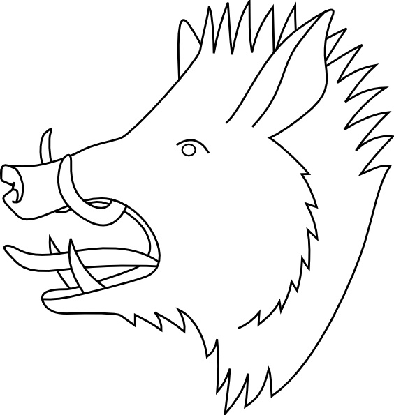 564x595 Boars Head Clip Art Free Vector In Open Office Drawing - Boar Head Drawing
