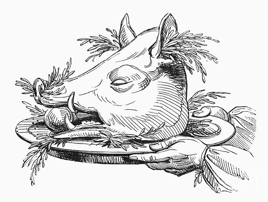 900x681 Christmas Boars Head Photograph - Boar Head Drawing