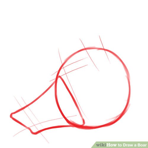 500x500 How To Draw A Boar Steps - Boar Head Drawing