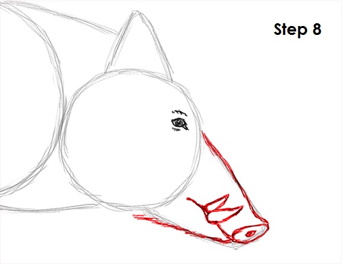 500x386 How To Draw A Boar - Boar Head Drawing