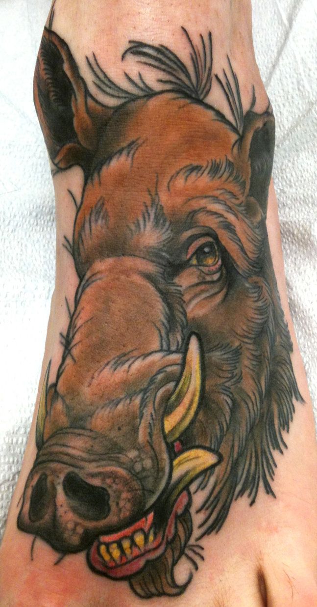 647x1236 wild boar face drawing wild boar head tattoo on left amazing - Boar Head Drawing