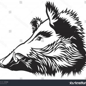 300x300 Boar Head In Laurel Wreath Soidergi - Boar Head Drawing