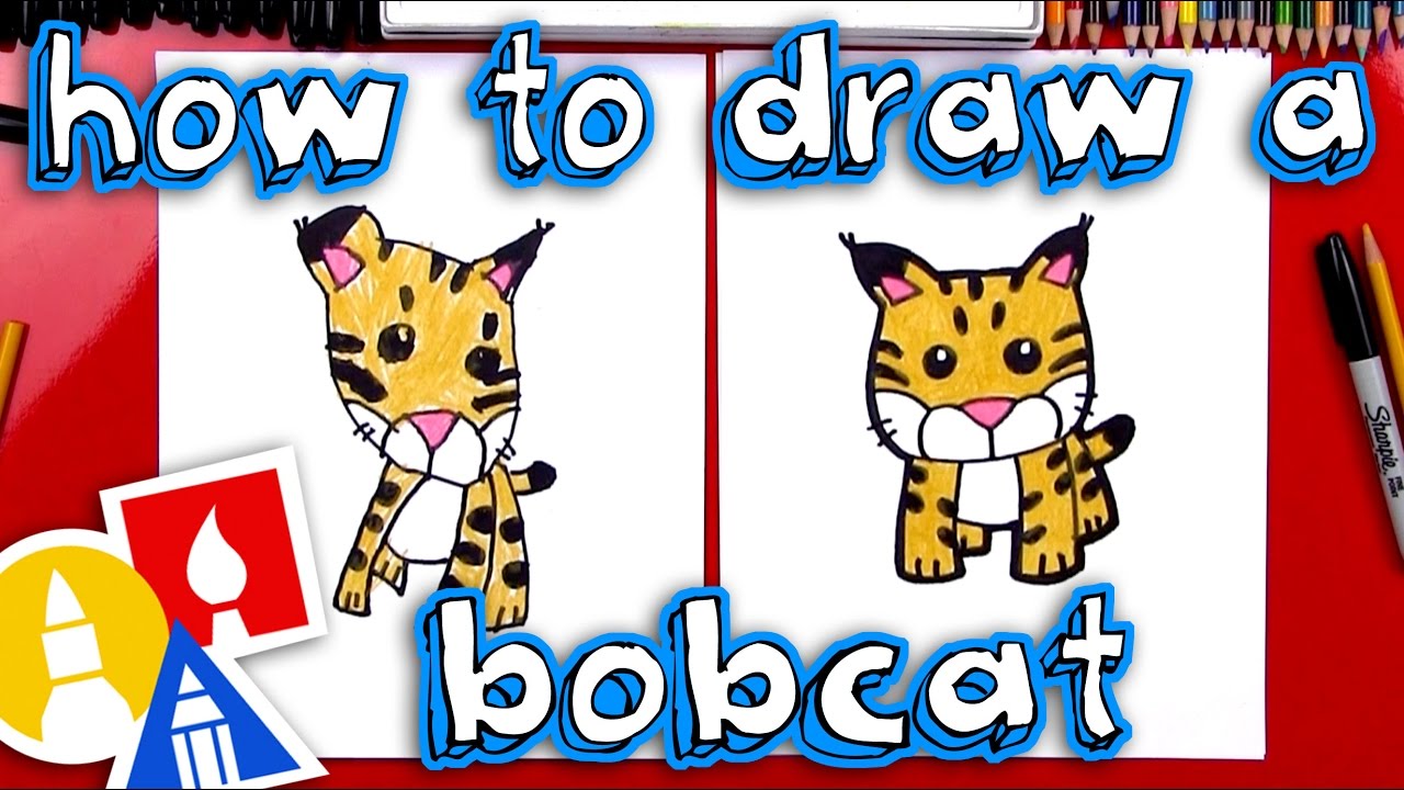1280x720 How To Draw A Cartoon Bobcat - Bobcat Drawing