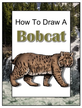 266x350 How To Draw A Bobcat - Bobcat Drawing