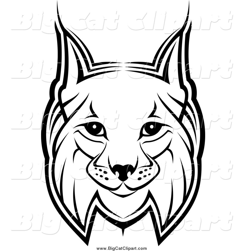 1024x1044 Cool Bobcat Drawing - Bobcat Drawing