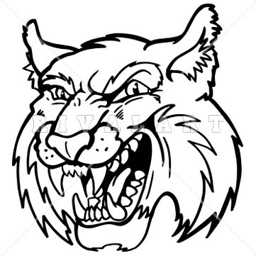361x361 Bobcat Mascot Clipart - Bobcat Face Drawing