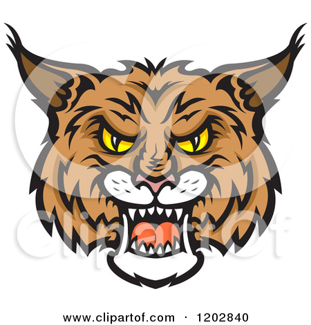 450x470 Bobcats Clipart - Bobcat Face Drawing