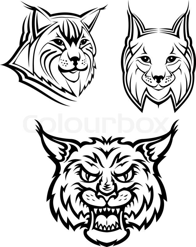 637x800 Head Logo Of A Wild Bobcat Or Lynx For Stock Vector Colourbox - Bobcat Face Drawing