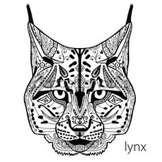 236x236 Huge Collection Of 'bobcat Face Drawing' Download More Than - Bobcat Face Drawing
