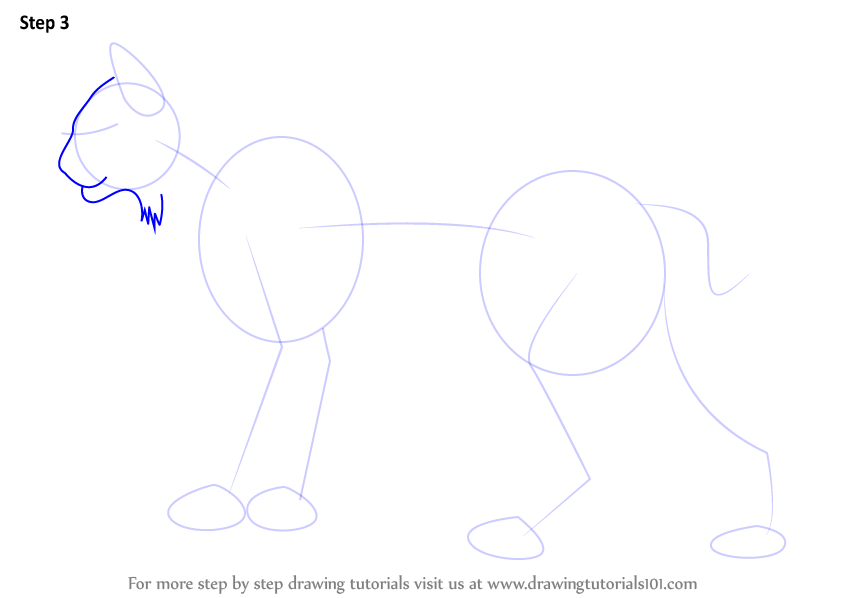 844x598 Learn How To Draw A Bobcat - Bobcat Face Drawing