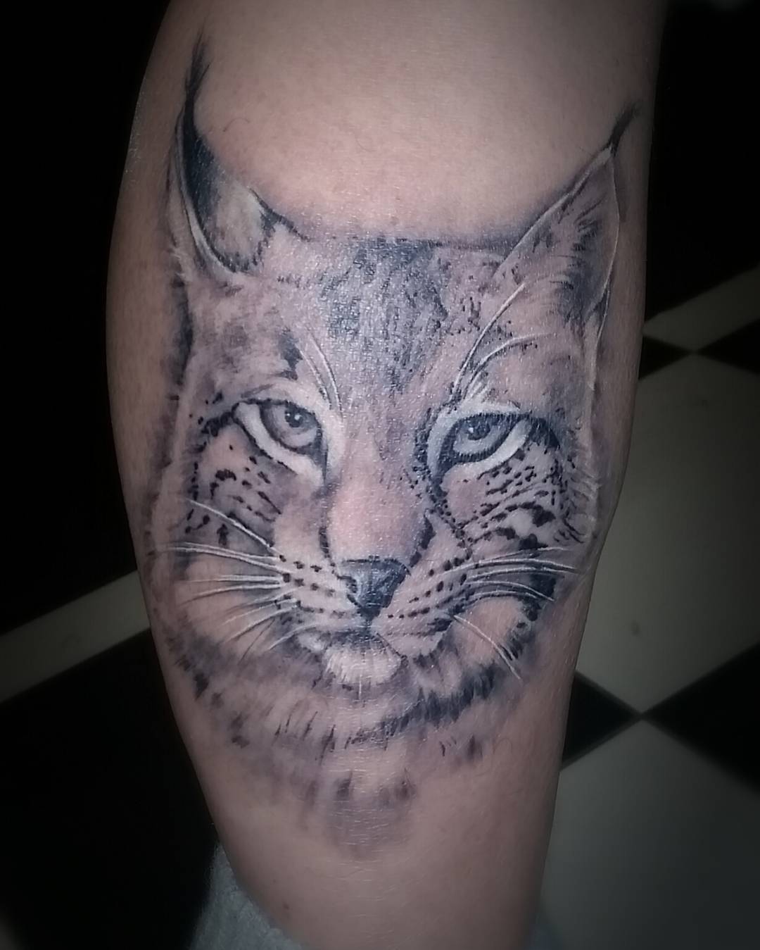 1080x1349 Realistic Bobca On Bobcat Face Drawing At Com Free For Personal Us - Bobcat Face Drawing