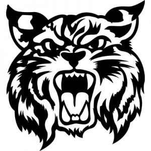 300x300 Bobcat Clipart Free Great Free Clipart, Silhouette, Coloring - Bobcat Face Drawing
