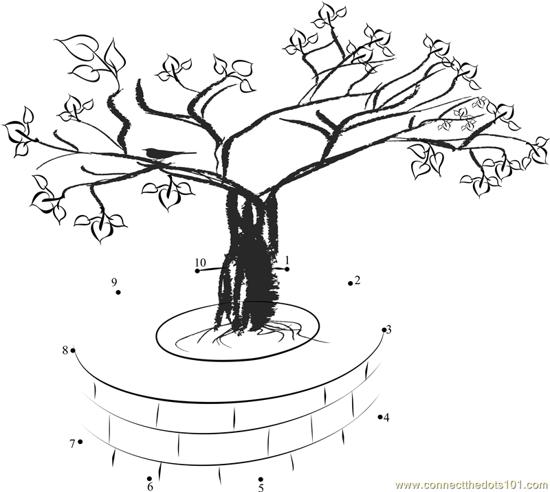 Bodhi Tree Drawing
