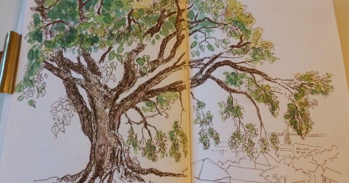1200x630 Now Is My Story - Bodhi Tree Drawing
