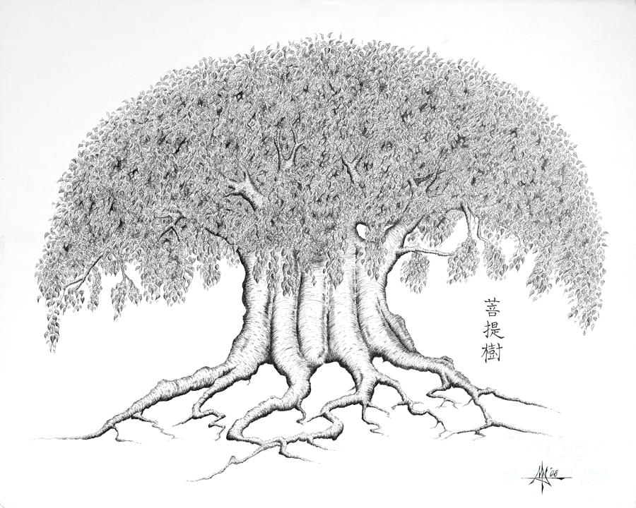 900x720 The Boddhi Tree Drawing - Bodhi Tree Drawing