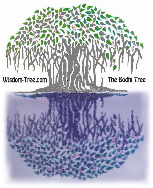 529x650 The Bodhi Tree Meditation - Bodhi Tree Drawing