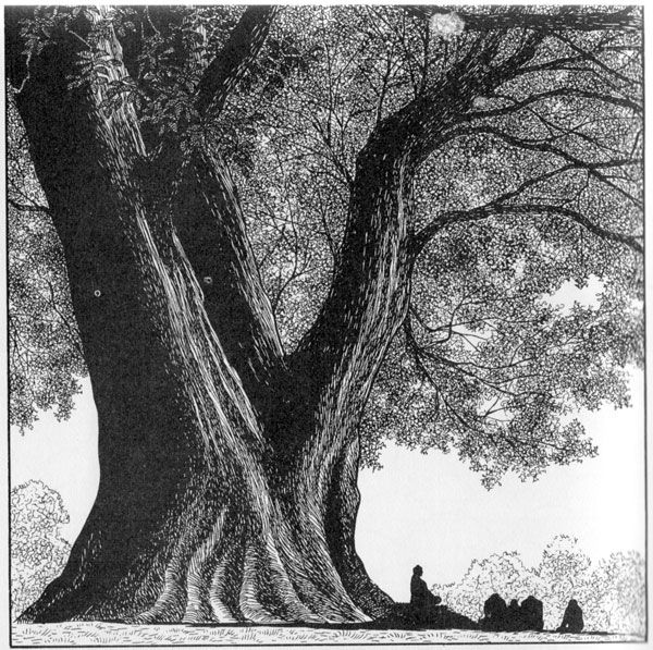 600x597 The Buddha Under The Bodhi Tree Bytezuka Sketch Inspiration - Bodhi Tree Drawing