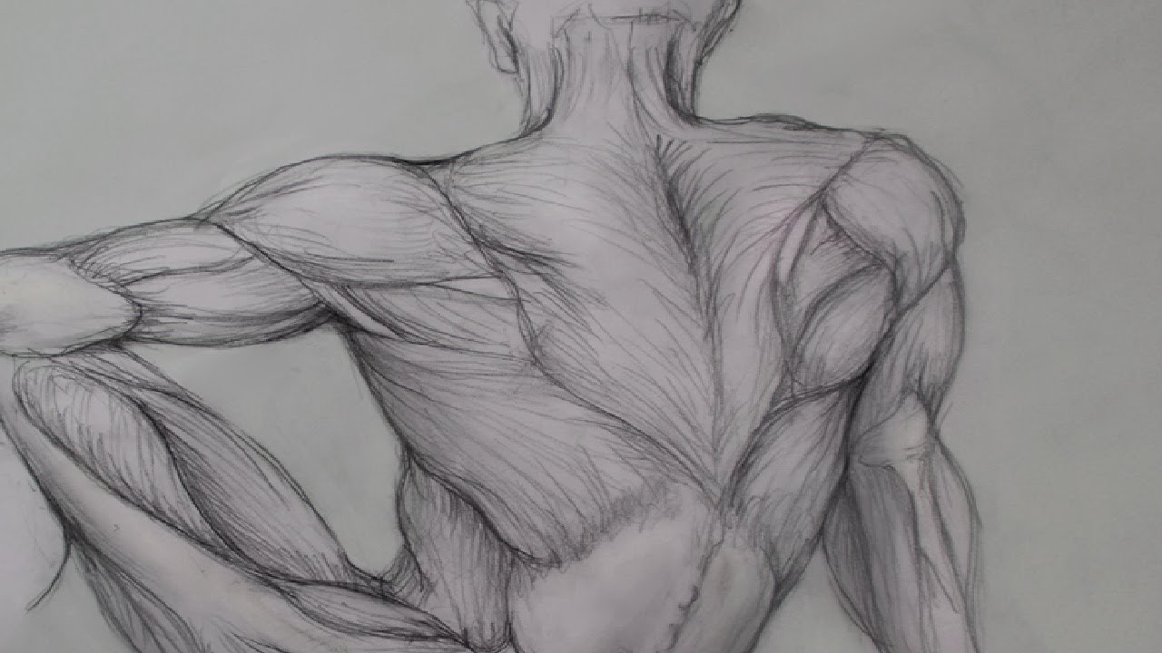 1280x720 Figure Drawing Lessons - Body Anatomy Drawing