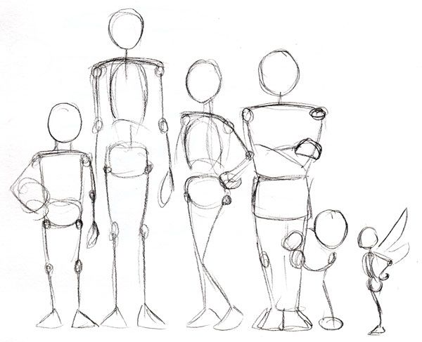 600x487 Human Anatomy Fundamentals Advanced Body Proportions - Body Anatomy Drawing
