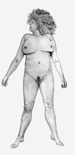 244x500 Cally Trench,art,artist,body,drawing,pen And Ink,philip Lee - Body Drawing