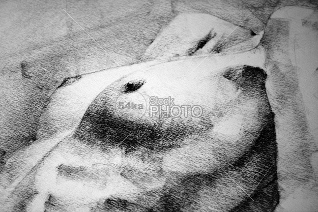 647x431 Woman Body Figure Pencil Drawing Close Up Detail - Body Drawing Art