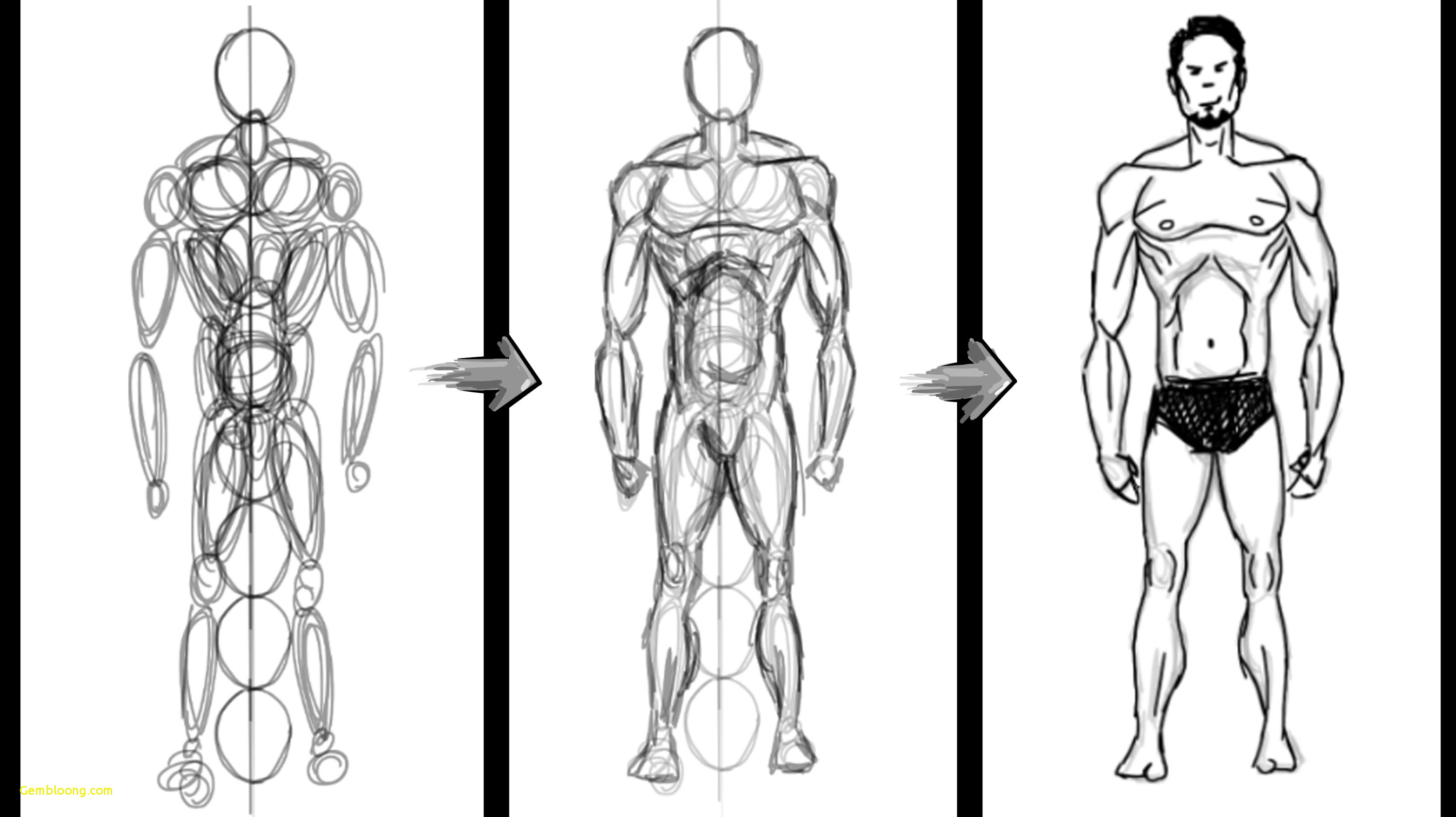 Body Drawing Reference At Paintingvalley Com Explore Collection Of Body Drawing Reference