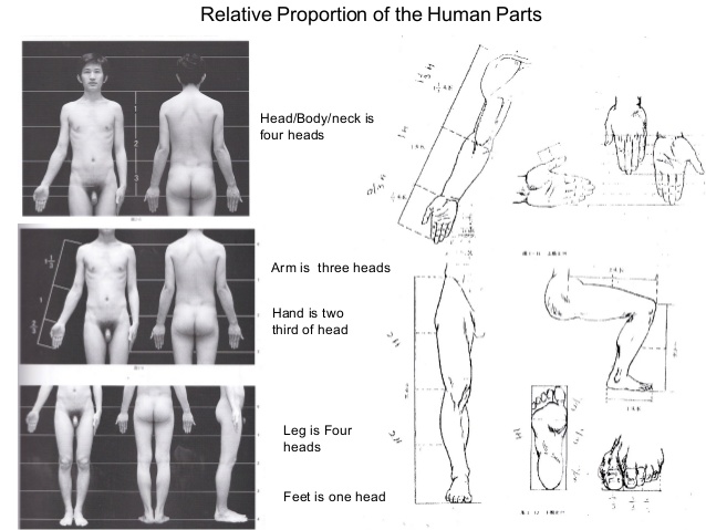 638x479 Figure Drawing Proportion And Construction - Body Figure Drawing