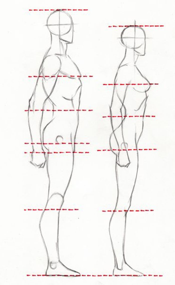 700x1137 Image Result For Learning The Hands Form Drawing Art Tricks - Body Form Drawing