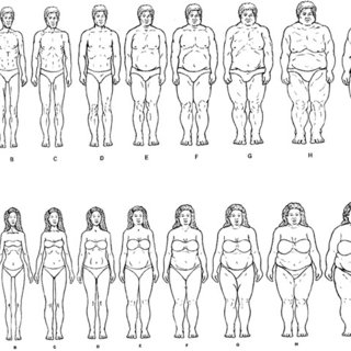 320x320 Male And Female Body Image Instrument - Body Form Drawing