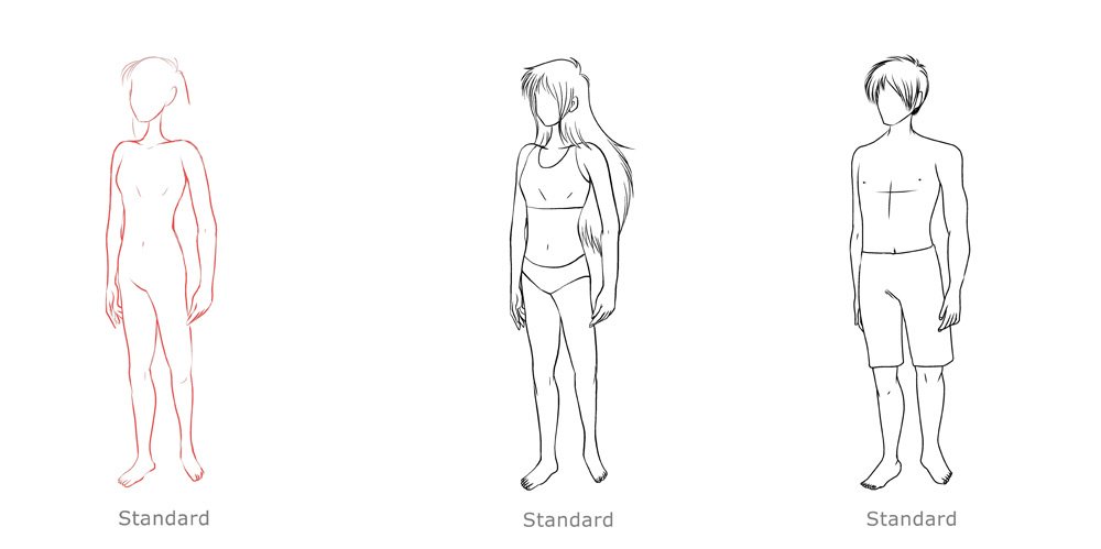 1000x499 Drawing Different Body Types Made Easy - Body Image Drawings