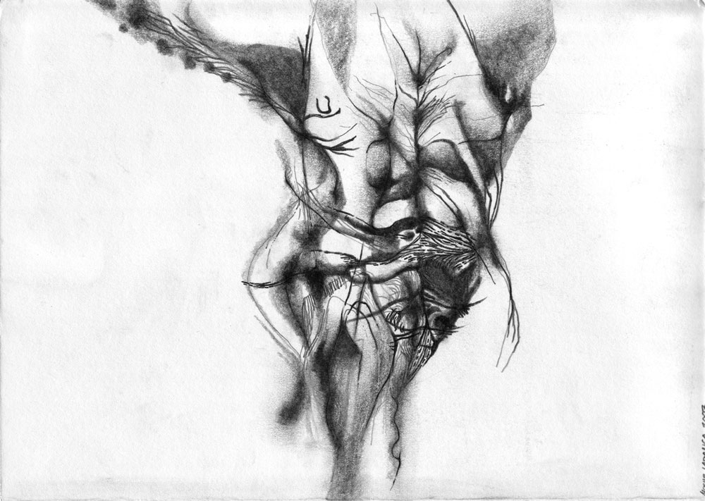 1000x711 Drawings - Body Image Drawings