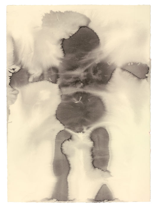 530x700 Antony Gormley - Body Image Drawings