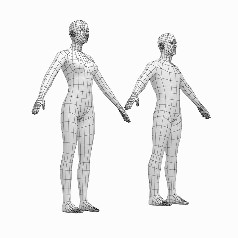 800x800 Human Female Male Bodies Model - Body Model Drawing