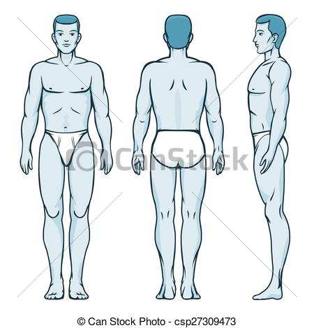 450x470 Man Body Model Front, Back And Side Human Poses Male Human - Body Model Drawing
