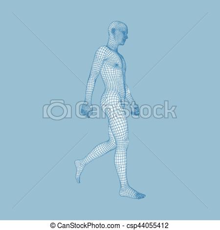 450x470 walking man human body model geometric design human body - Body Model Drawing