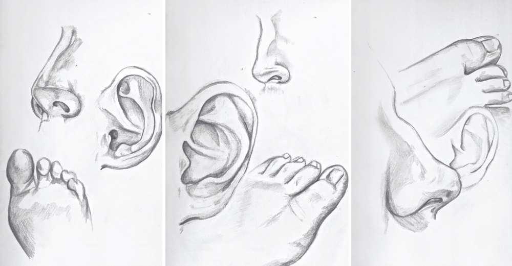 1000x521 Ellen Mueller Courtney Chidester Parts - Body Parts Drawing