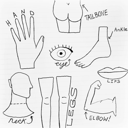 500x500 The Body Parts I Forgot About That Morning - Body Parts Drawing