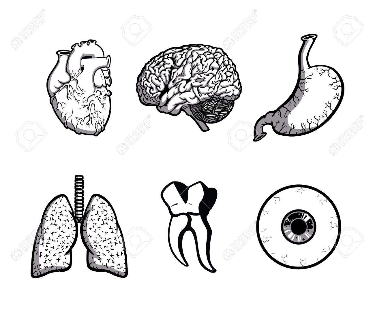 1300x1083 How To Draw The Human Body - Body Parts Drawing