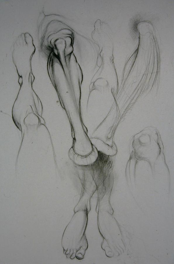 595x900 lower body limb study drawing - Body Study Drawing
