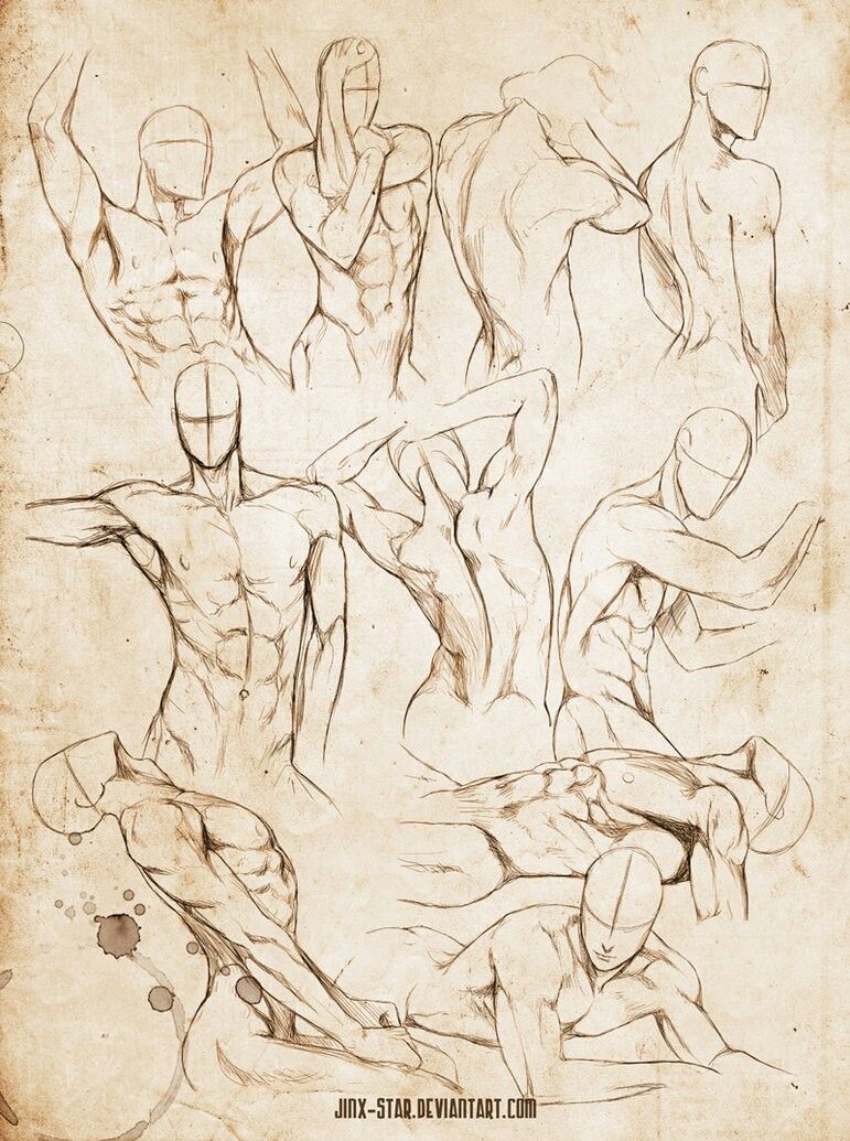 771x1035 mm abs char ref body sketches, body study, drawings - Body Study Drawing