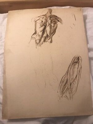 300x400 Vintage Study Drawing Of Man Upper Body Sketch Mystery Artist - Body Study Drawing
