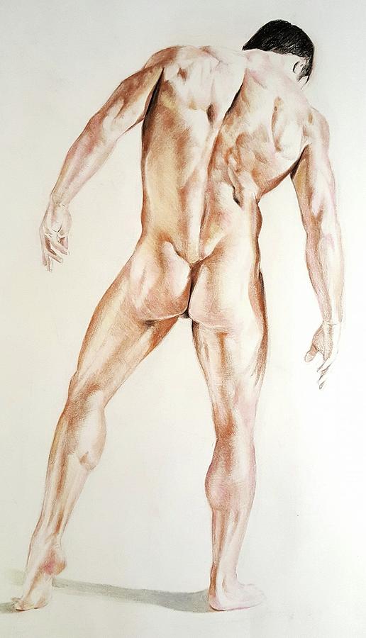 516x900 bodybuilder drawing - Bodybuilder Drawing